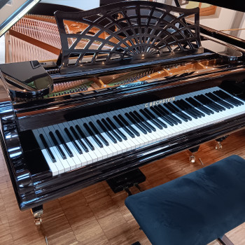 Bechstein Flügel Mod. B