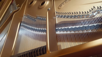 Steinway Flügel D