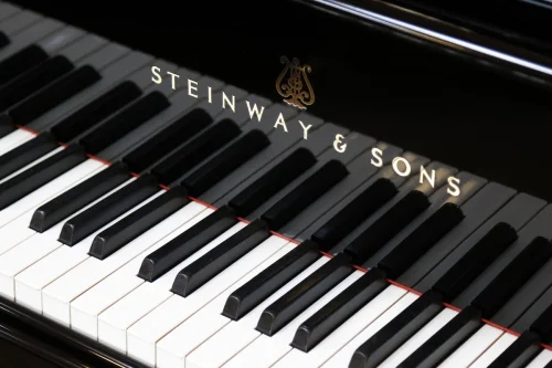 Nahaufnahme der Tastatur eines Steinway & Sons Klaviers mit schwarzen und weißen Tasten in heller Umgebung.​​​​​​​​​​​​​​​​​​​​​​​​​​​​​​​​​​​​​​