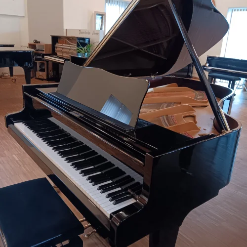 Grotrian-Steinweg Flügel 189.