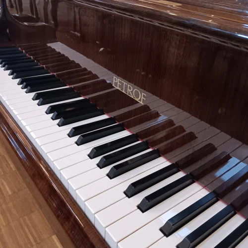 Klaviatur eines Petrof Flügel Mod. 173 in Nussbaum poliert