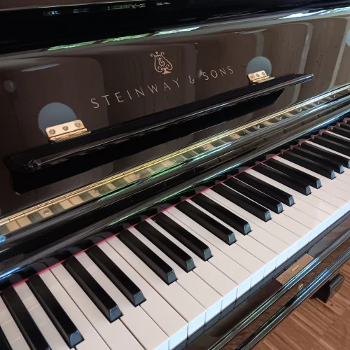 Klaviatur eines Steinway & Sons Klavier Mod. X von 1894