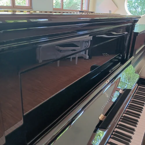 Ornament eines Steinway & Sons Klavier Mod. X von 1894 in schwarz poliert