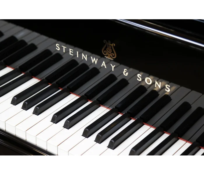 Nahaufnahme der Tastatur eines Steinway & Sons Klaviers mit schwarzen und weißen Tasten in heller Umgebung.​​​​​​​​​​​​​​​​​​​​​​​​​​​​​​​​​​​​​​
