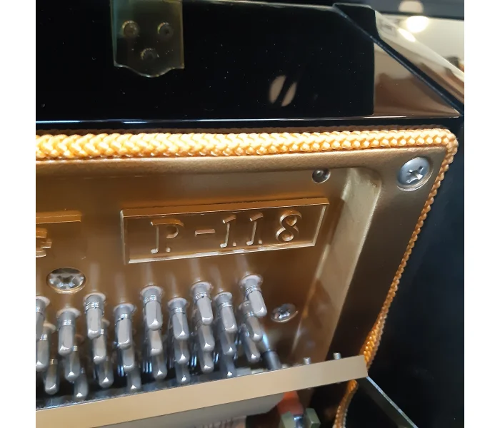 Detail im W. Steinberg P-118: Modellplakette „P-118“ am Rahmen neben den Stimmwirbeln.