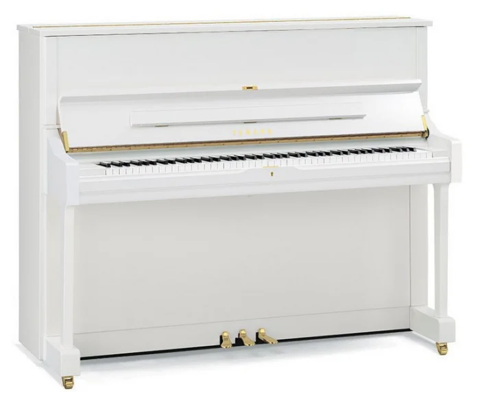 U Serie- U1 TransAcoustic